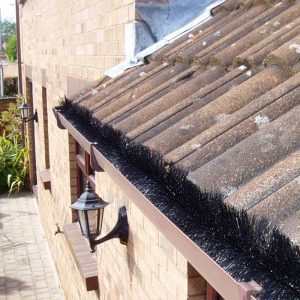 Hedgehog Gutter Guard